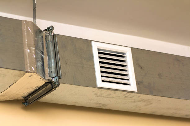 Best Air Duct Sanitizing Services  in Adams, WI